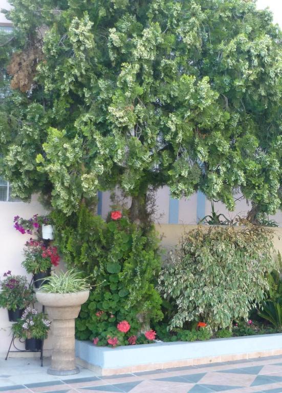 Rainbow Hotel Rhodes City Bagian luar foto